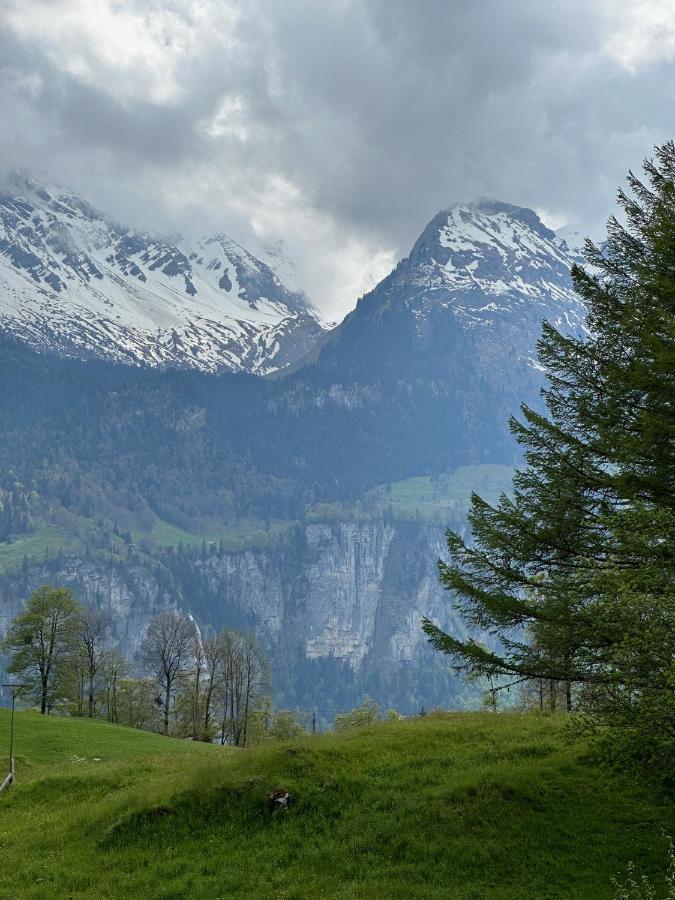 Chalet Bruenig Майрінґен Екстер'єр фото