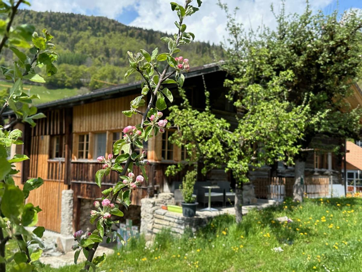 Chalet Bruenig Майрінґен Екстер'єр фото