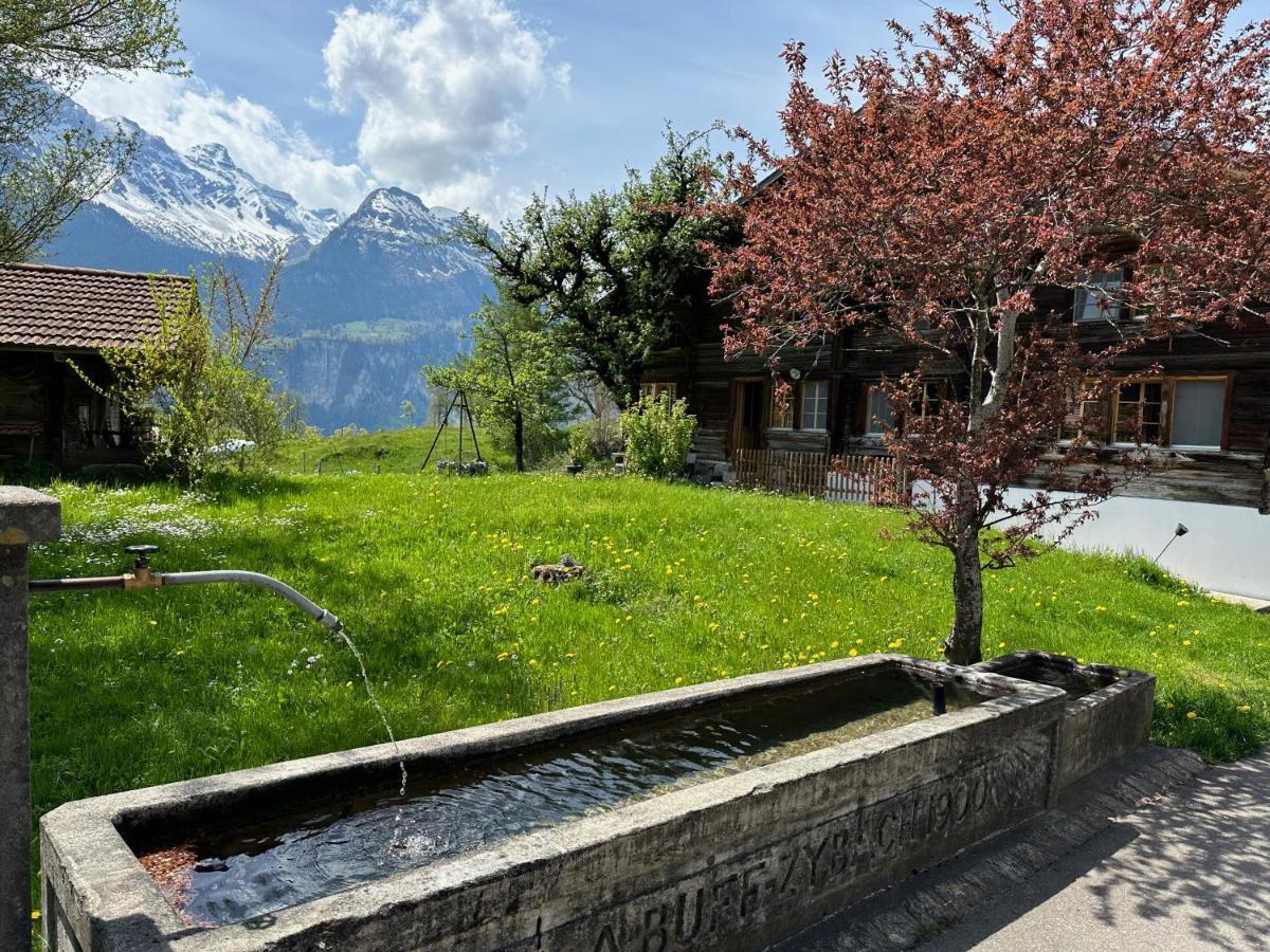 Chalet Bruenig Майрінґен Екстер'єр фото