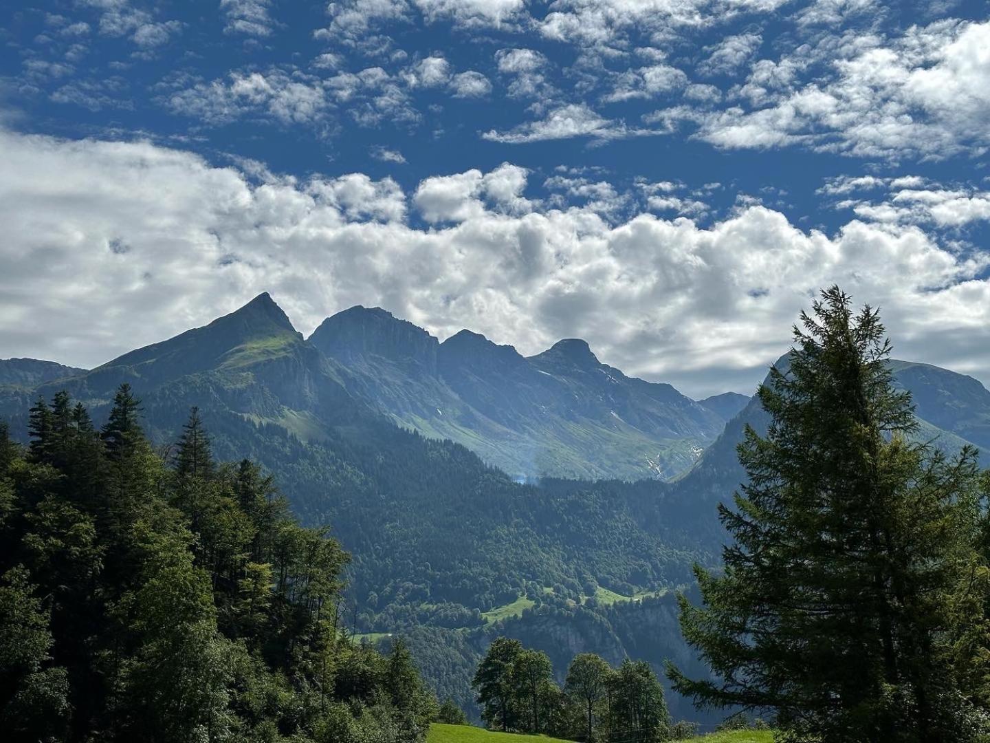 Chalet Bruenig Майрінґен Екстер'єр фото
